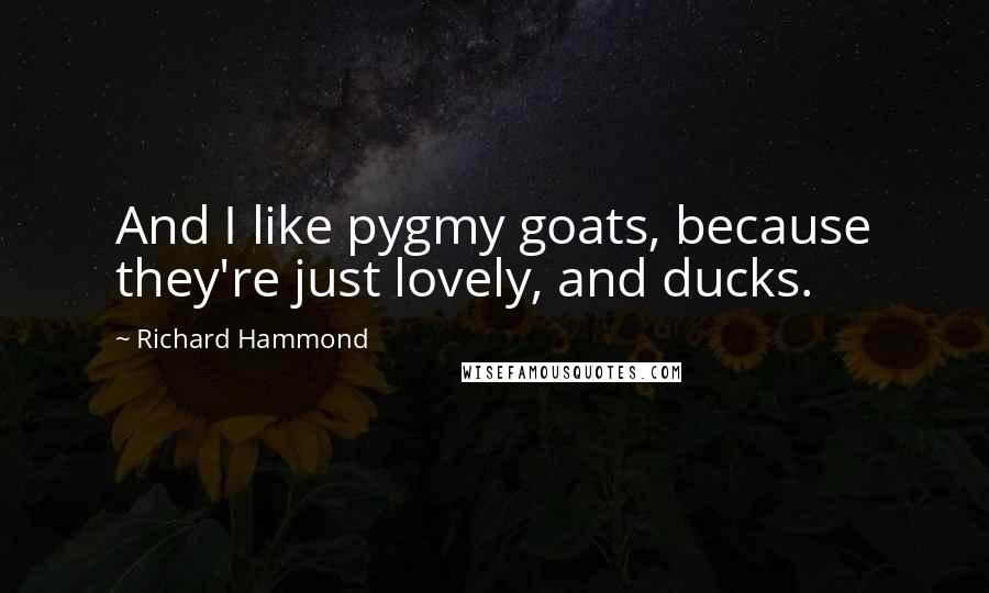 Richard Hammond Quotes: And I like pygmy goats, because they're just lovely, and ducks.