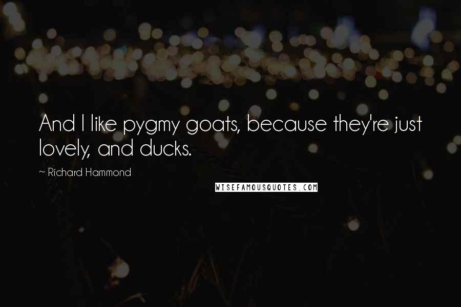 Richard Hammond Quotes: And I like pygmy goats, because they're just lovely, and ducks.