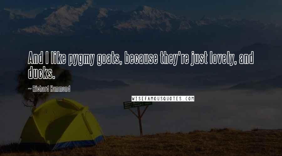 Richard Hammond Quotes: And I like pygmy goats, because they're just lovely, and ducks.