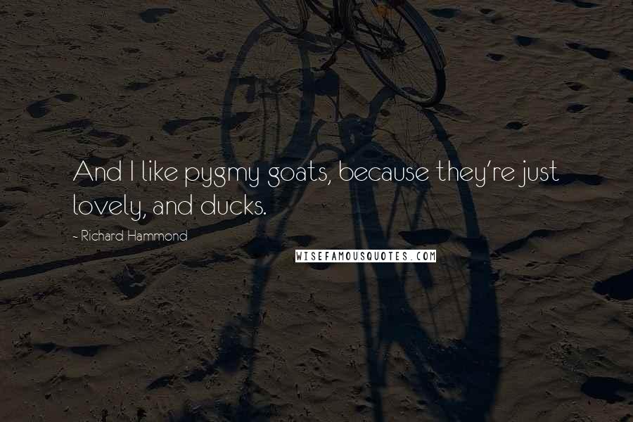 Richard Hammond Quotes: And I like pygmy goats, because they're just lovely, and ducks.