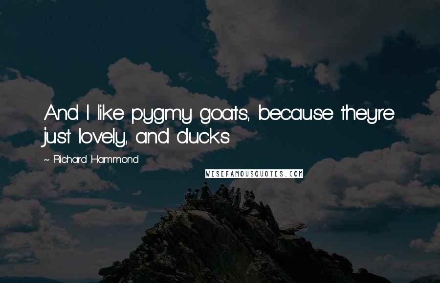 Richard Hammond Quotes: And I like pygmy goats, because they're just lovely, and ducks.