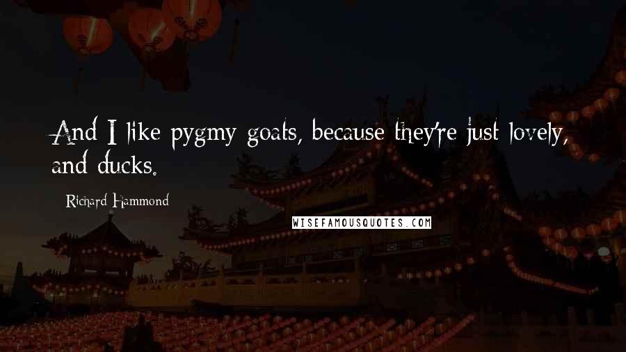 Richard Hammond Quotes: And I like pygmy goats, because they're just lovely, and ducks.