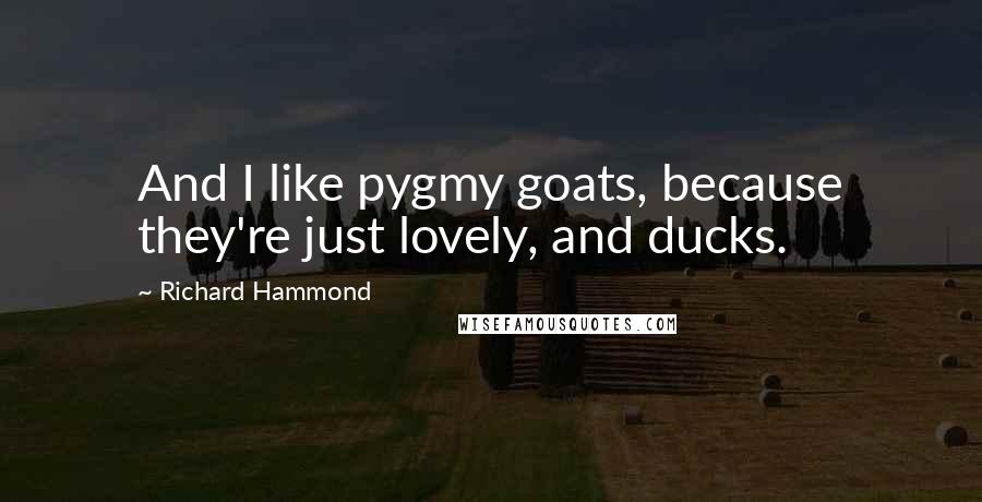 Richard Hammond Quotes: And I like pygmy goats, because they're just lovely, and ducks.