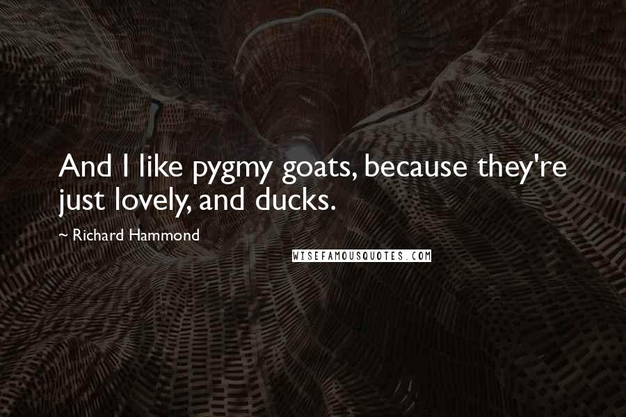 Richard Hammond Quotes: And I like pygmy goats, because they're just lovely, and ducks.