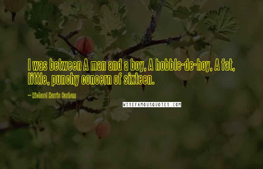 Richard Harris Barham Quotes: I was between A man and a boy, A hobble-de-hoy, A fat, little, punchy concern of sixteen.