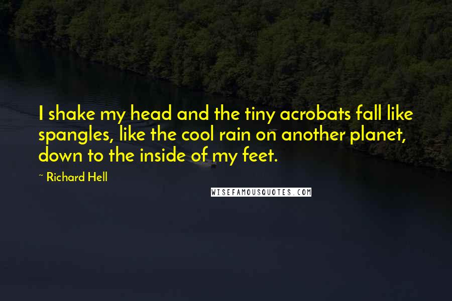 Richard Hell Quotes: I shake my head and the tiny acrobats fall like spangles, like the cool rain on another planet, down to the inside of my feet.