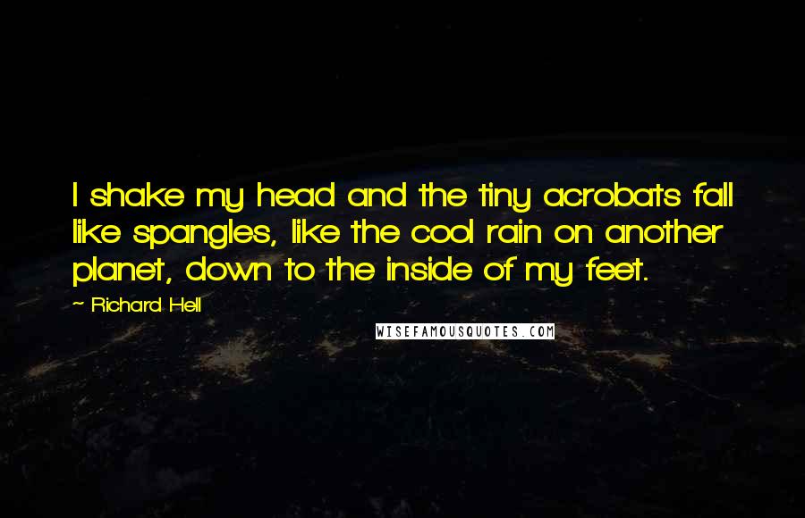 Richard Hell Quotes: I shake my head and the tiny acrobats fall like spangles, like the cool rain on another planet, down to the inside of my feet.