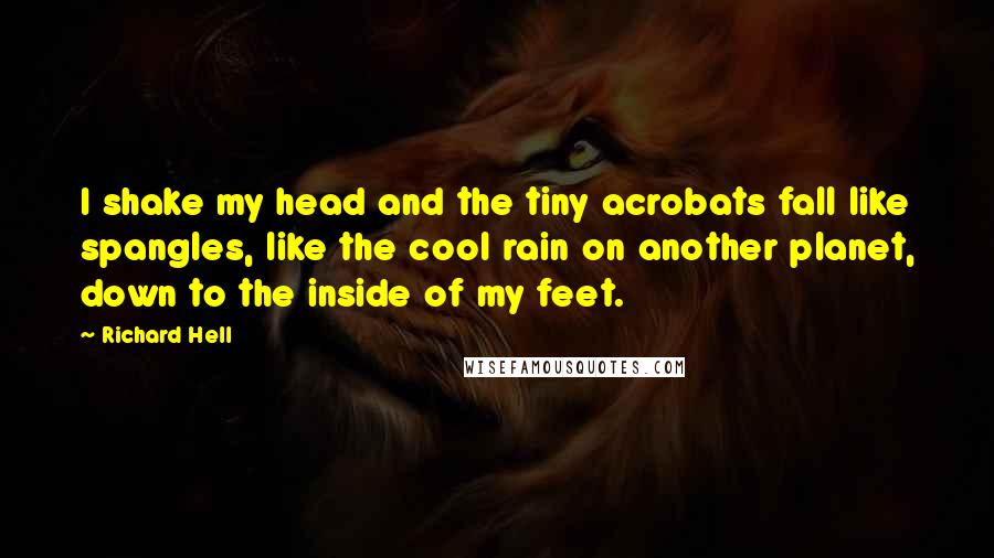 Richard Hell Quotes: I shake my head and the tiny acrobats fall like spangles, like the cool rain on another planet, down to the inside of my feet.