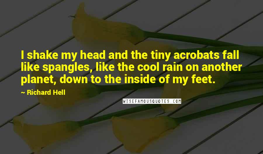 Richard Hell Quotes: I shake my head and the tiny acrobats fall like spangles, like the cool rain on another planet, down to the inside of my feet.