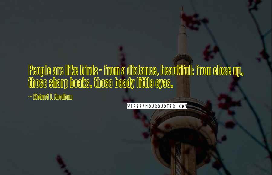 Richard J. Needham Quotes: People are like birds - from a distance, beautiful: from close up, those sharp beaks, those beady little eyes.