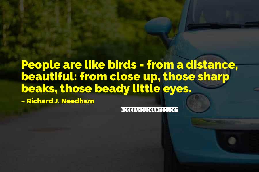 Richard J. Needham Quotes: People are like birds - from a distance, beautiful: from close up, those sharp beaks, those beady little eyes.