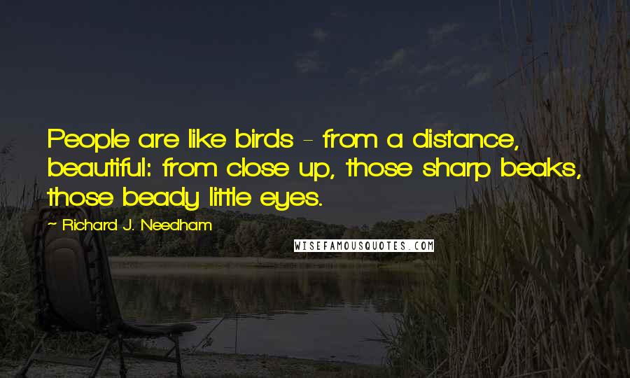 Richard J. Needham Quotes: People are like birds - from a distance, beautiful: from close up, those sharp beaks, those beady little eyes.