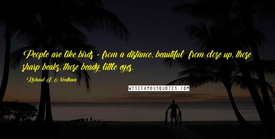 Richard J. Needham Quotes: People are like birds - from a distance, beautiful: from close up, those sharp beaks, those beady little eyes.