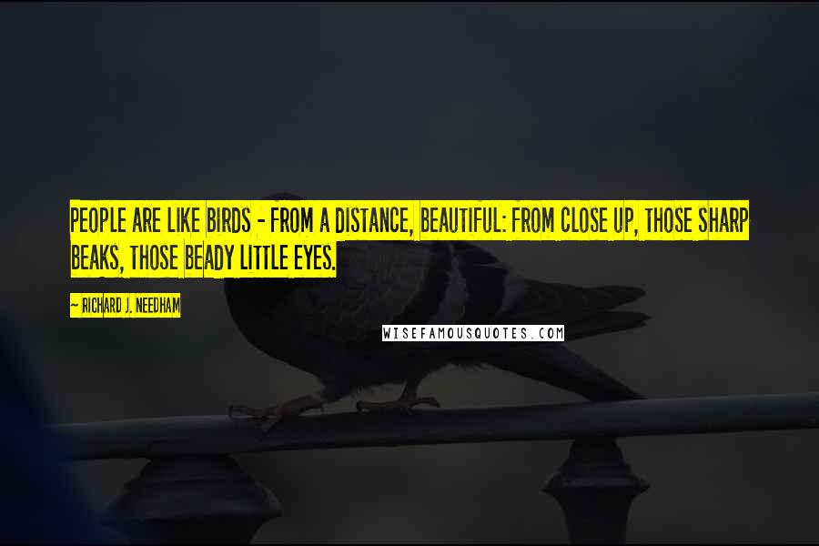 Richard J. Needham Quotes: People are like birds - from a distance, beautiful: from close up, those sharp beaks, those beady little eyes.