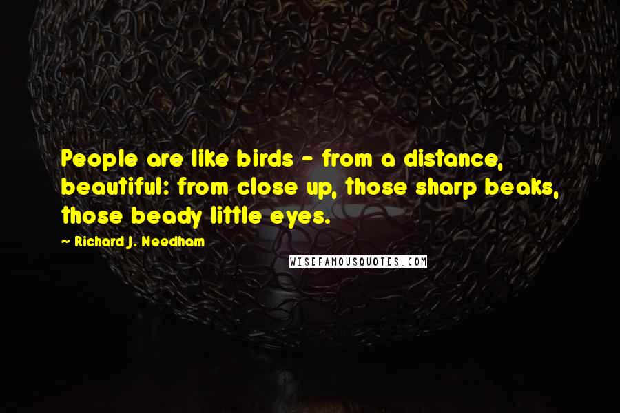 Richard J. Needham Quotes: People are like birds - from a distance, beautiful: from close up, those sharp beaks, those beady little eyes.