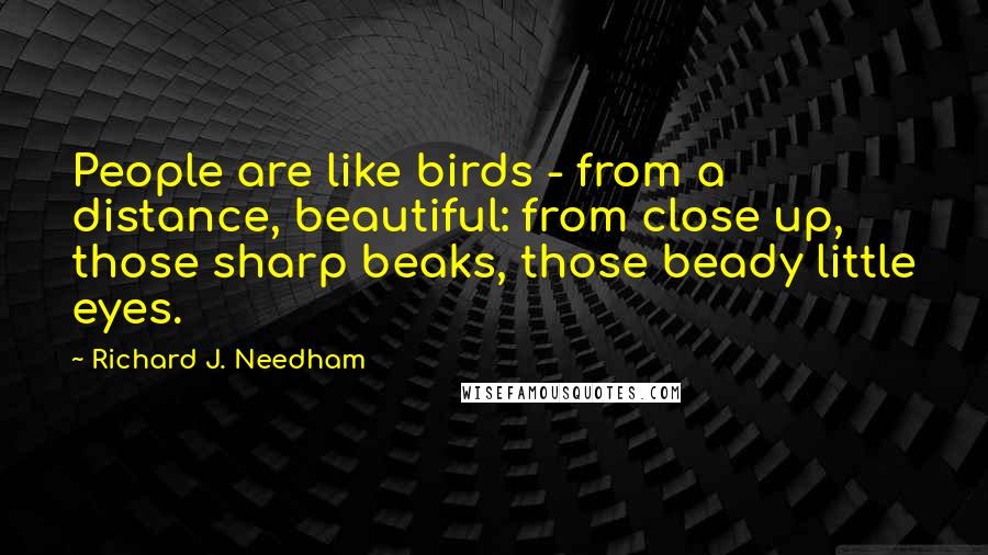 Richard J. Needham Quotes: People are like birds - from a distance, beautiful: from close up, those sharp beaks, those beady little eyes.