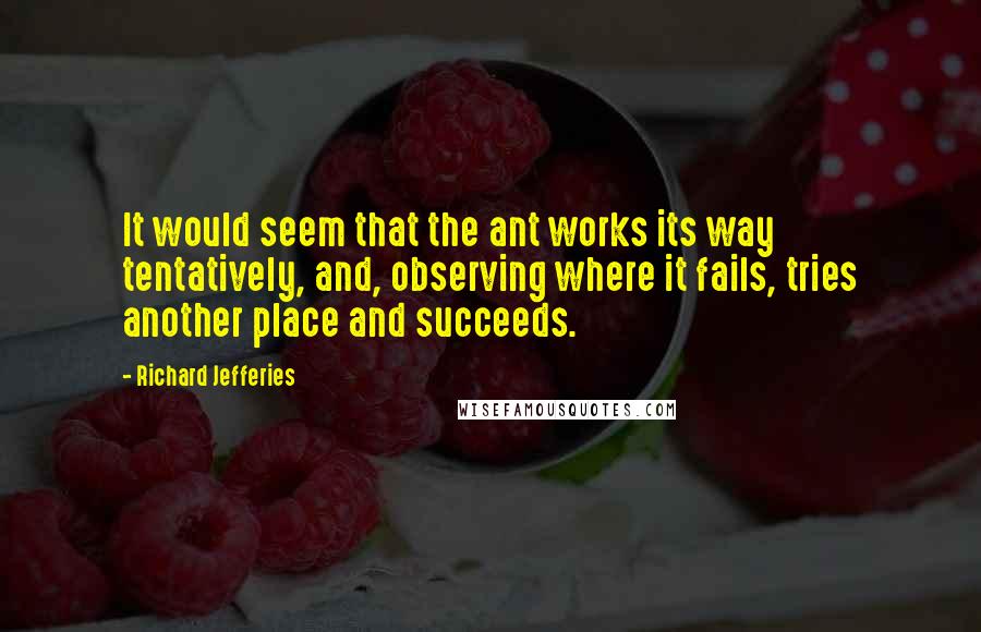 Richard Jefferies Quotes: It would seem that the ant works its way tentatively, and, observing where it fails, tries another place and succeeds.