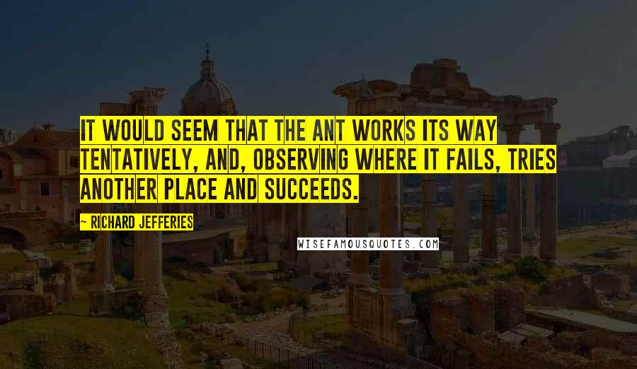 Richard Jefferies Quotes: It would seem that the ant works its way tentatively, and, observing where it fails, tries another place and succeeds.