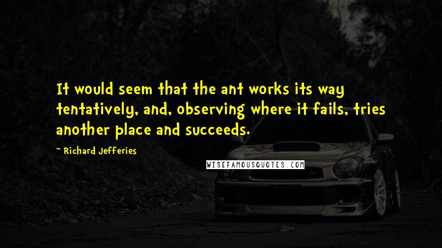 Richard Jefferies Quotes: It would seem that the ant works its way tentatively, and, observing where it fails, tries another place and succeeds.