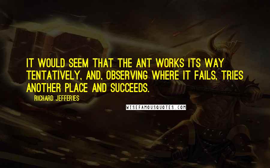 Richard Jefferies Quotes: It would seem that the ant works its way tentatively, and, observing where it fails, tries another place and succeeds.