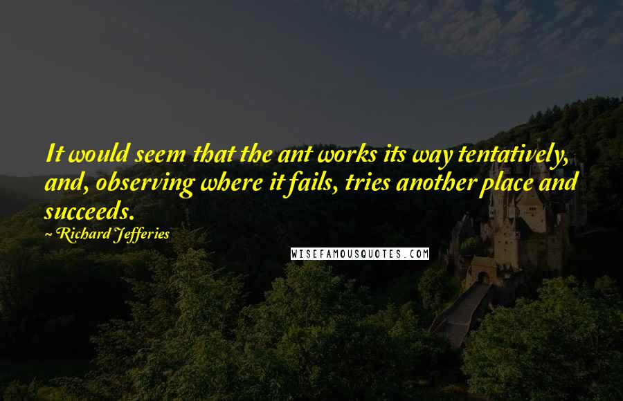 Richard Jefferies Quotes: It would seem that the ant works its way tentatively, and, observing where it fails, tries another place and succeeds.