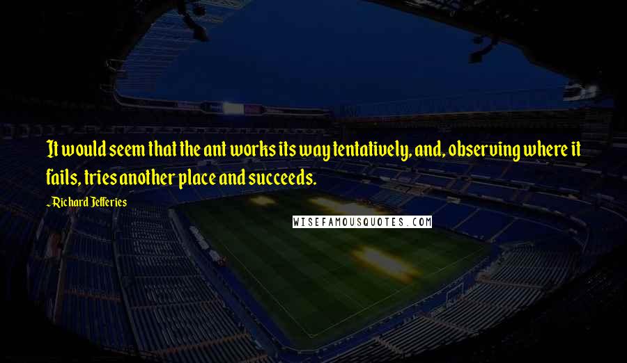 Richard Jefferies Quotes: It would seem that the ant works its way tentatively, and, observing where it fails, tries another place and succeeds.