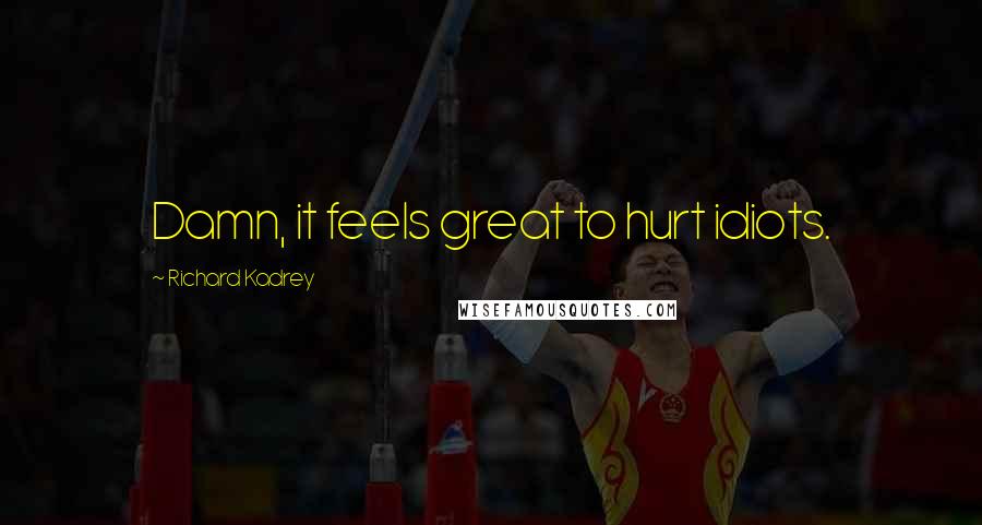 Richard Kadrey Quotes: Damn, it feels great to hurt idiots.