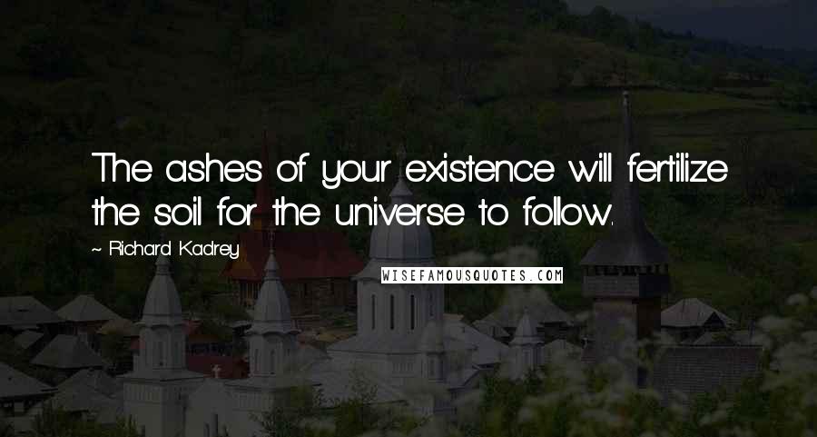 Richard Kadrey Quotes: The ashes of your existence will fertilize the soil for the universe to follow.