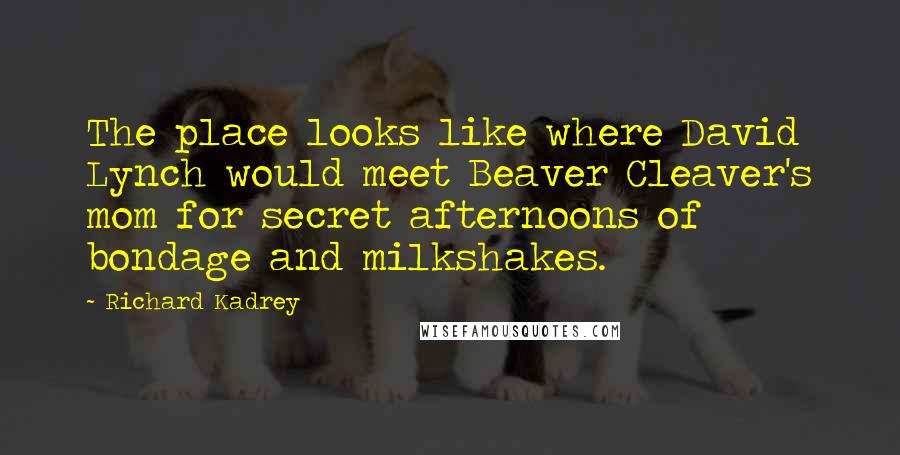 Richard Kadrey Quotes: The place looks like where David Lynch would meet Beaver Cleaver's mom for secret afternoons of bondage and milkshakes.