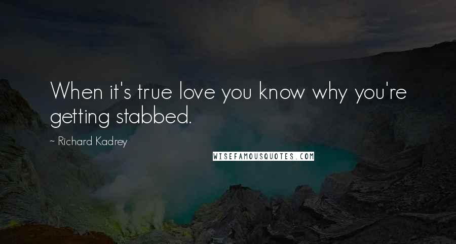 Richard Kadrey Quotes: When it's true love you know why you're getting stabbed.