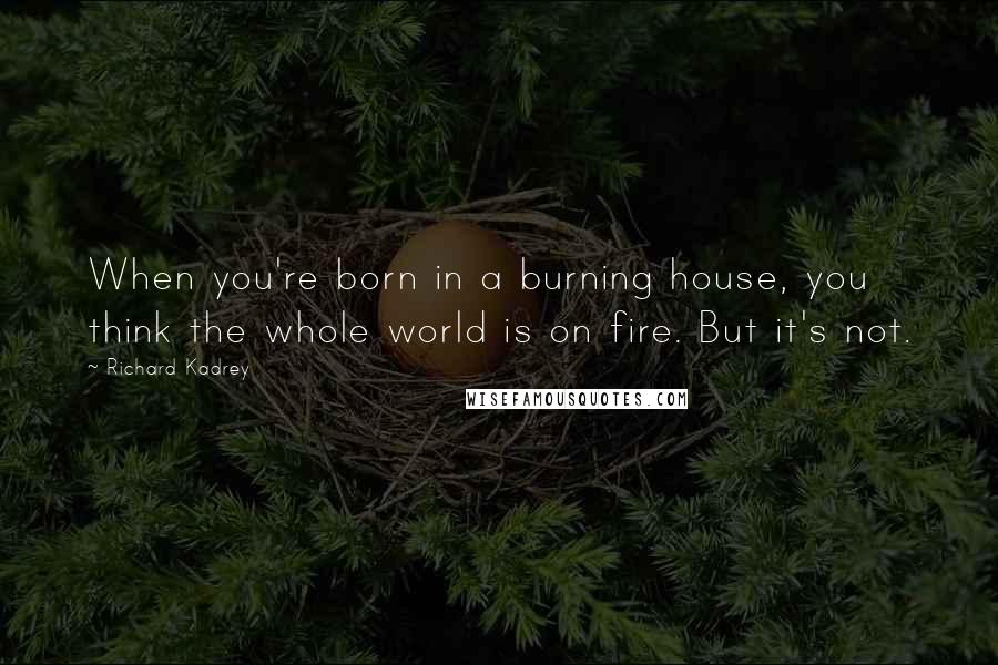 Richard Kadrey Quotes: When you're born in a burning house, you think the whole world is on fire. But it's not.