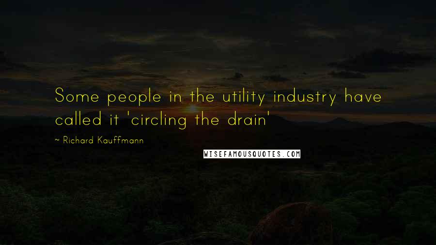 Richard Kauffmann Quotes: Some people in the utility industry have called it 'circling the drain'