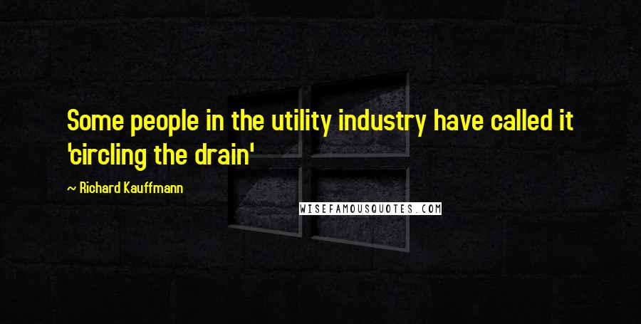 Richard Kauffmann Quotes: Some people in the utility industry have called it 'circling the drain'