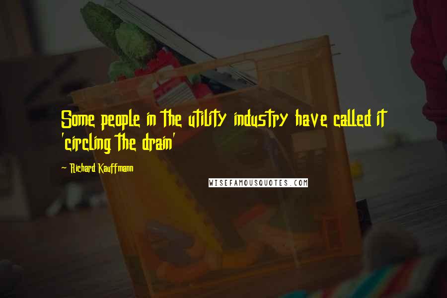 Richard Kauffmann Quotes: Some people in the utility industry have called it 'circling the drain'