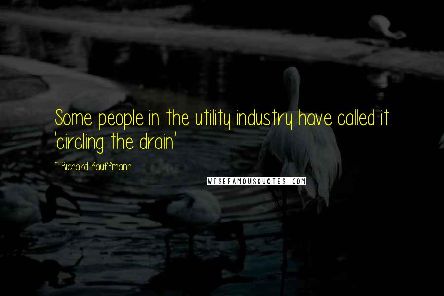 Richard Kauffmann Quotes: Some people in the utility industry have called it 'circling the drain'