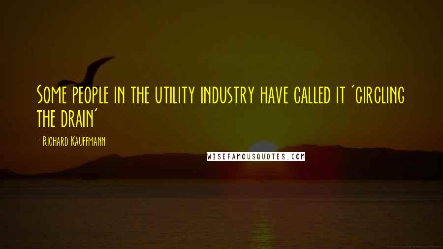 Richard Kauffmann Quotes: Some people in the utility industry have called it 'circling the drain'