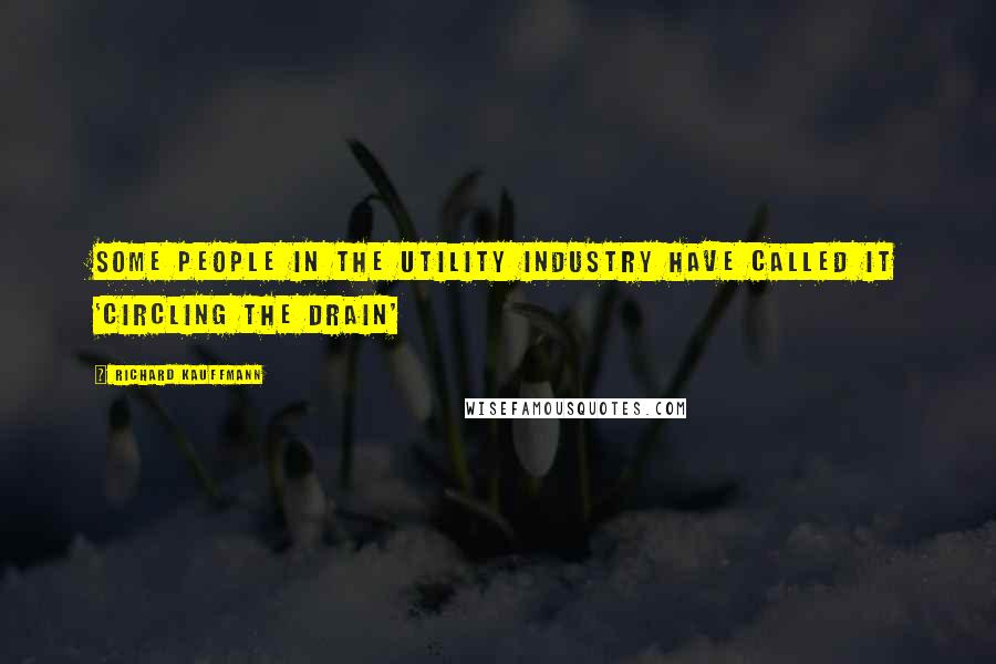 Richard Kauffmann Quotes: Some people in the utility industry have called it 'circling the drain'