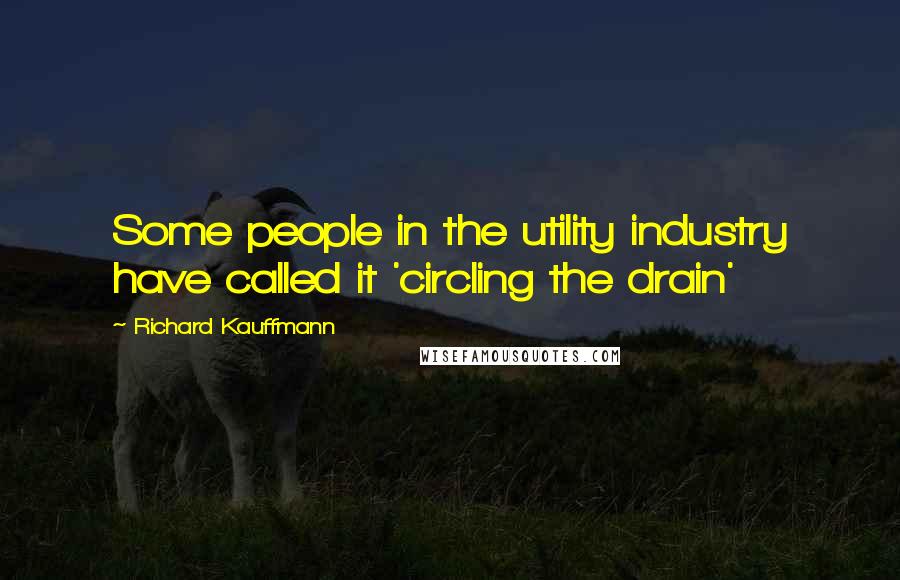Richard Kauffmann Quotes: Some people in the utility industry have called it 'circling the drain'