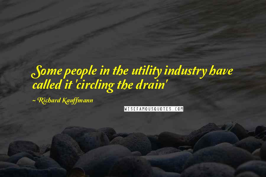 Richard Kauffmann Quotes: Some people in the utility industry have called it 'circling the drain'