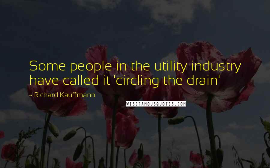 Richard Kauffmann Quotes: Some people in the utility industry have called it 'circling the drain'