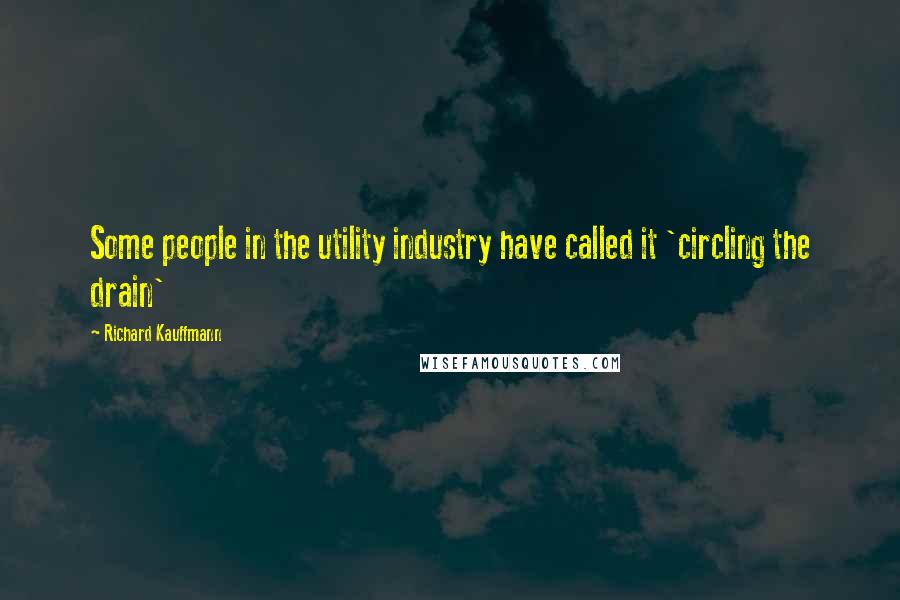 Richard Kauffmann Quotes: Some people in the utility industry have called it 'circling the drain'