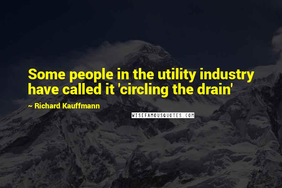 Richard Kauffmann Quotes: Some people in the utility industry have called it 'circling the drain'