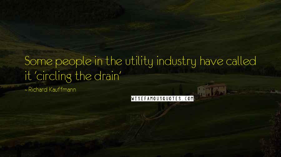 Richard Kauffmann Quotes: Some people in the utility industry have called it 'circling the drain'