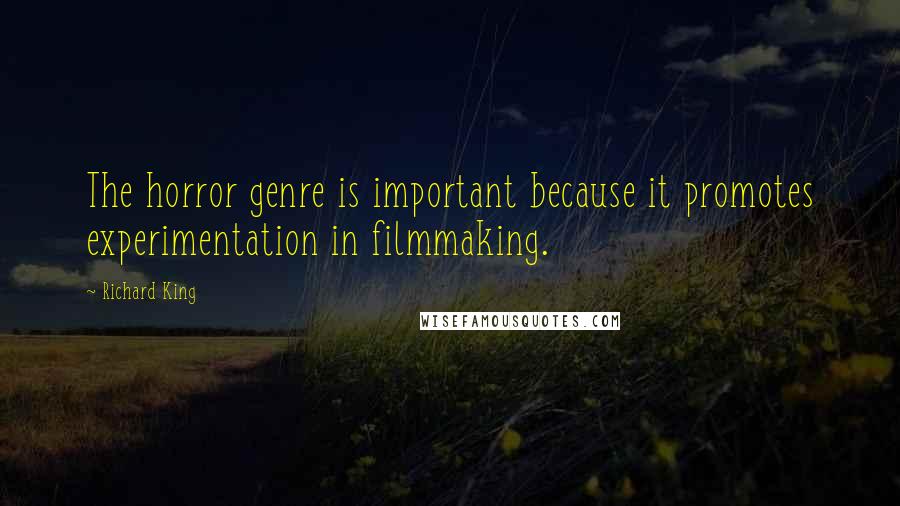 Richard King Quotes: The horror genre is important because it promotes experimentation in filmmaking.