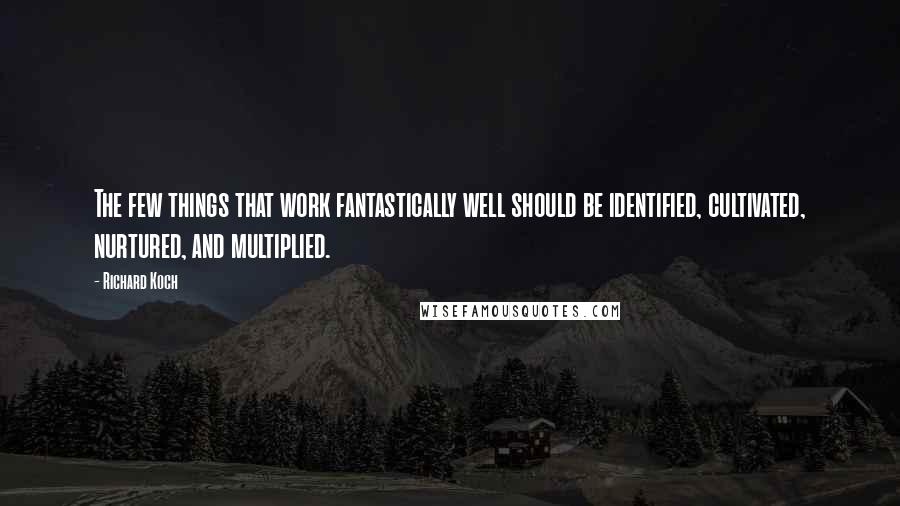 Richard Koch Quotes: The few things that work fantastically well should be identified, cultivated, nurtured, and multiplied.