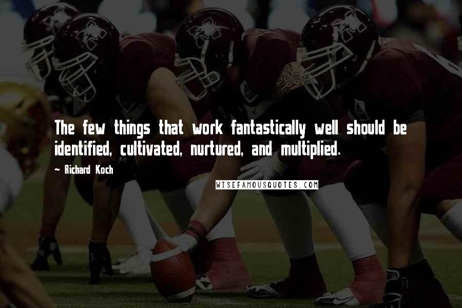 Richard Koch Quotes: The few things that work fantastically well should be identified, cultivated, nurtured, and multiplied.