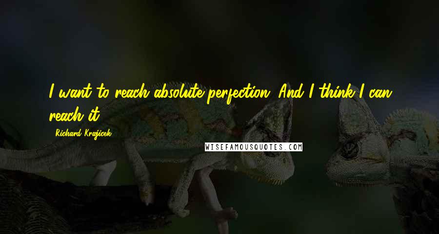 Richard Krajicek Quotes: I want to reach absolute perfection. And I think I can reach it.