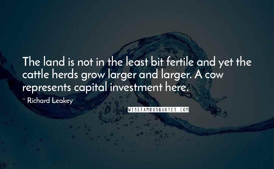 Richard Leakey Quotes: The land is not in the least bit fertile and yet the cattle herds grow larger and larger. A cow represents capital investment here.