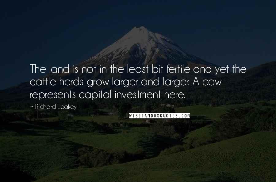 Richard Leakey Quotes: The land is not in the least bit fertile and yet the cattle herds grow larger and larger. A cow represents capital investment here.