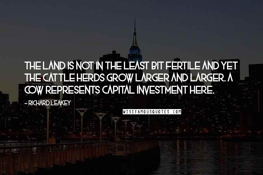 Richard Leakey Quotes: The land is not in the least bit fertile and yet the cattle herds grow larger and larger. A cow represents capital investment here.